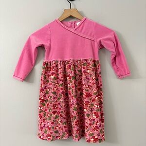 Hanna Andersson Floral Velour Dress